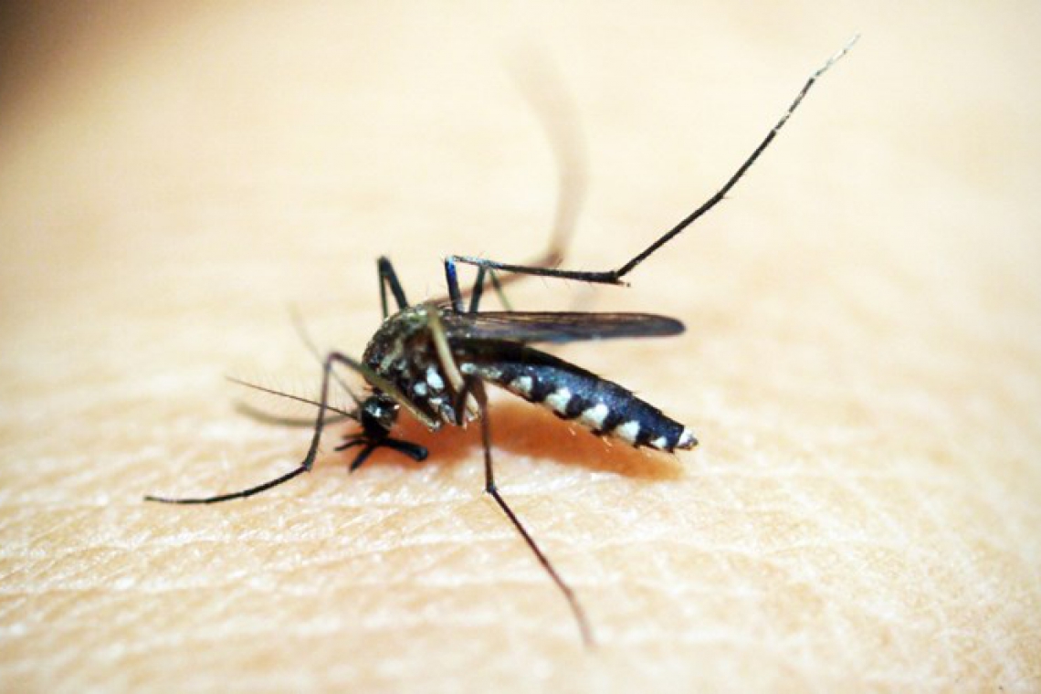 Obavijest o tretiranju komaraca