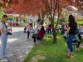 kuca nade 01072021 2