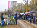 sava 2021 7